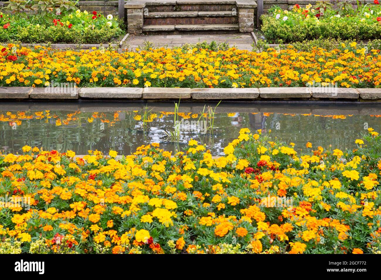Fleurs orange et jaune dans un jardin formel Banque D'Images
