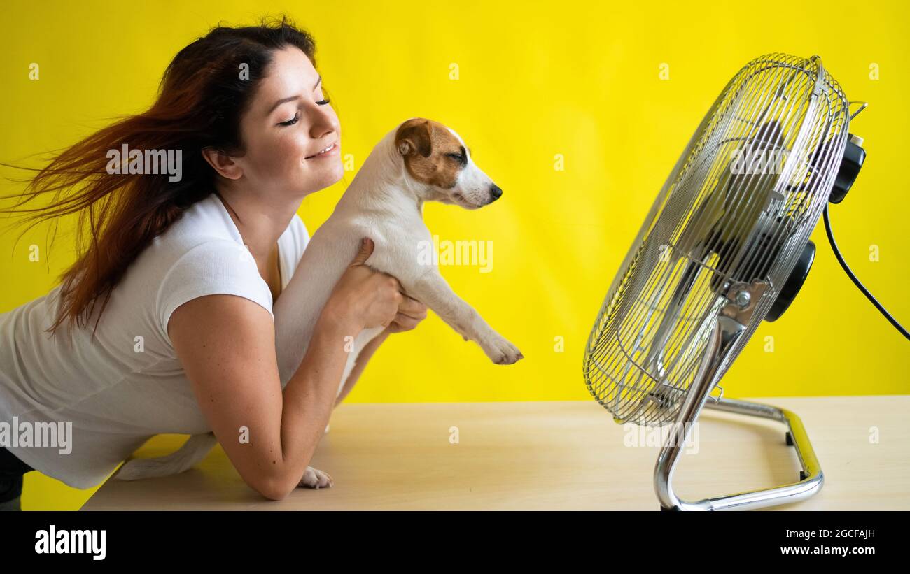 La femme et le chien caucasiens sont refroidis par un ventilateur  électrique. Une fille avec son animal Jack Russell Terrier se rafraîchit  Photo Stock - Alamy