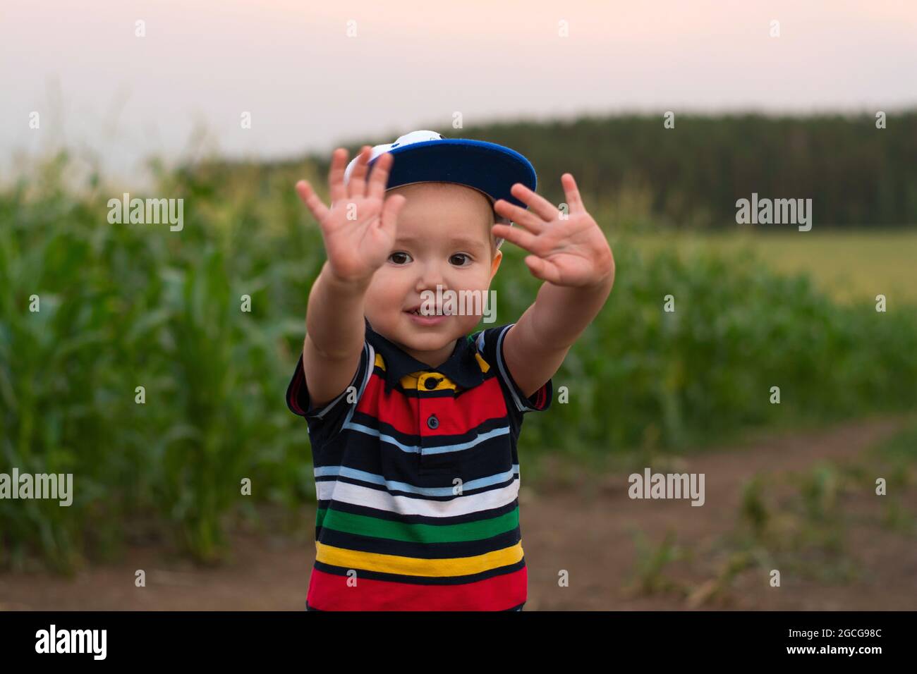 un petit garçon fait des visages et joue dans un champ de maïs Banque D'Images