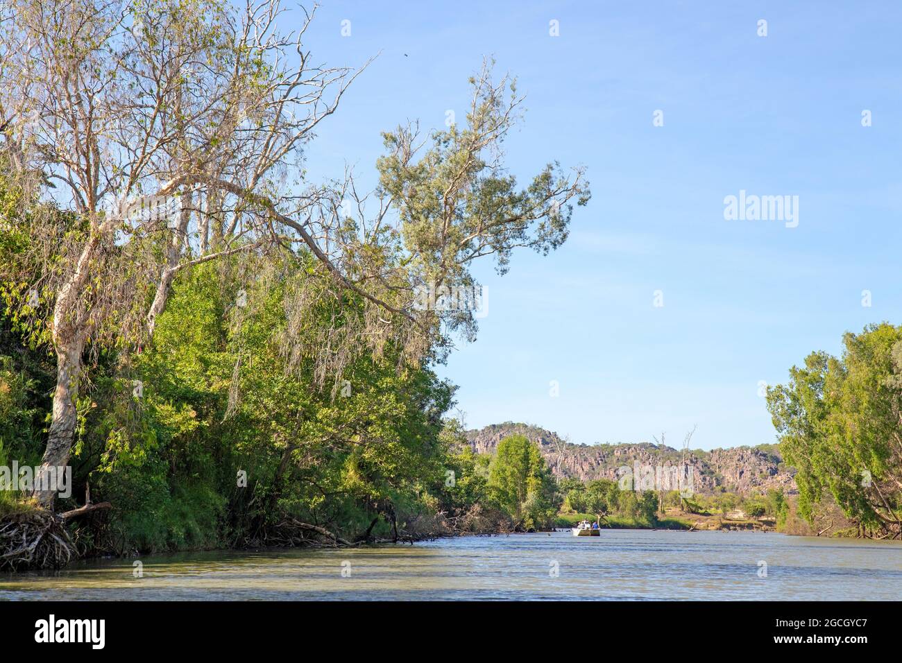 East Alligator River Banque D'Images