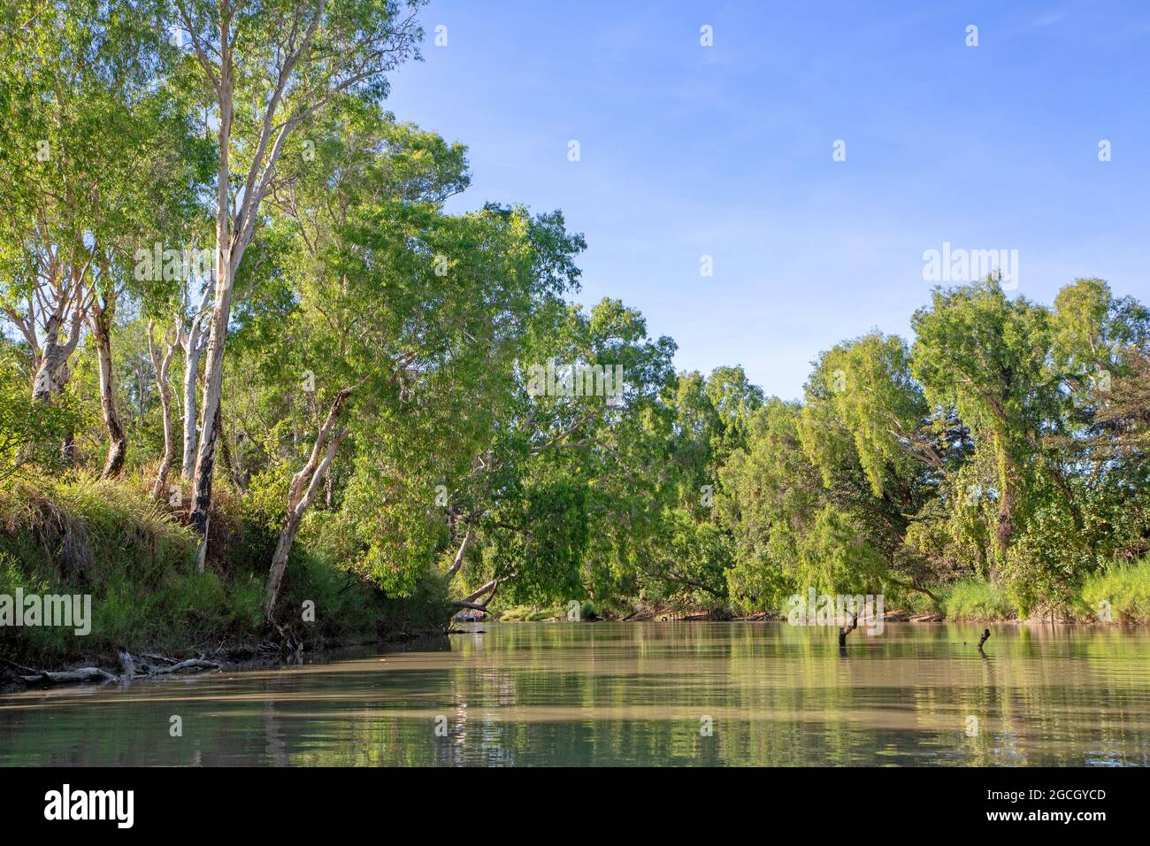 East Alligator River Banque D'Images
