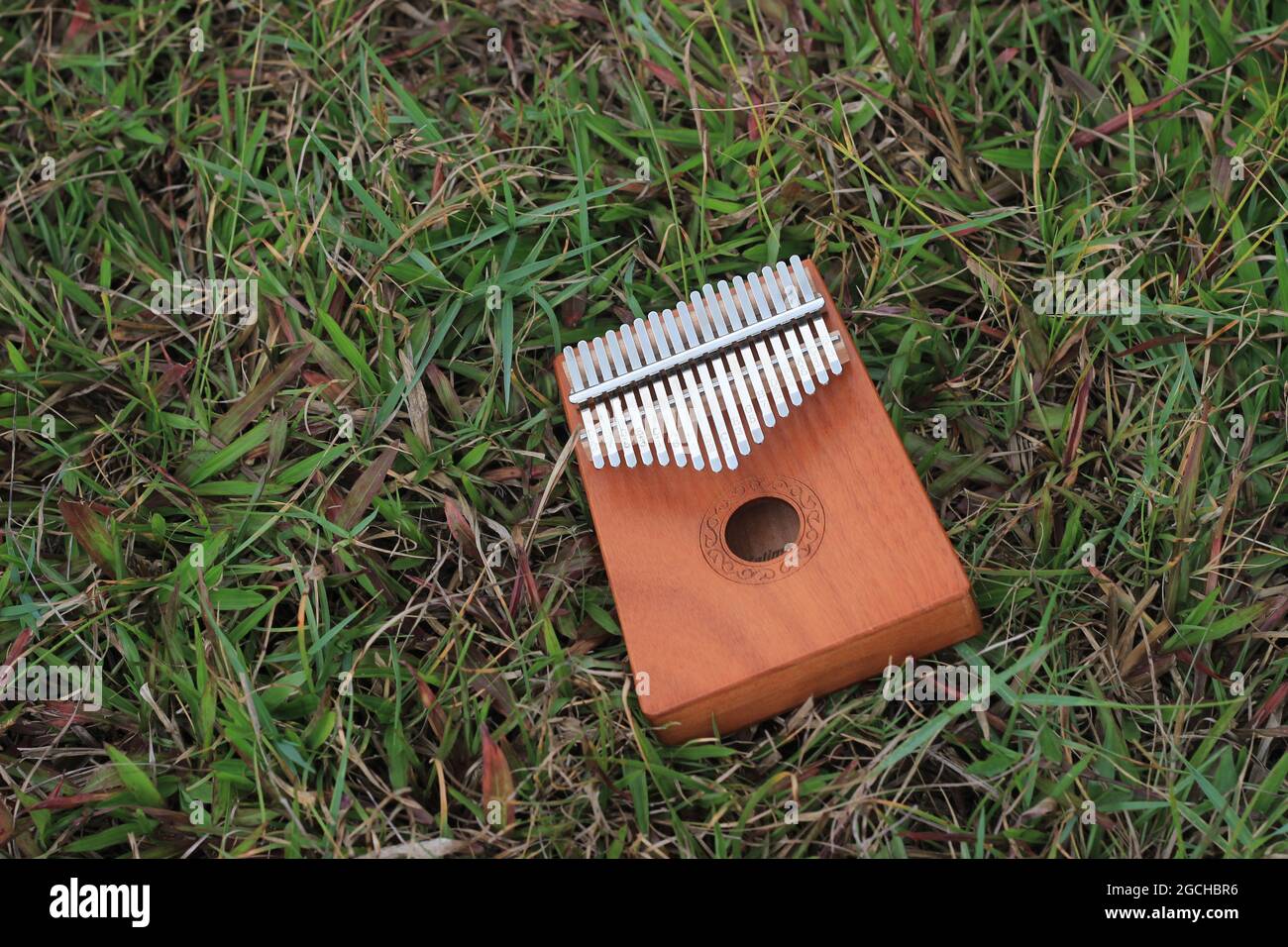Kalimba, instrument de musique acoustique d'afrique et sa couverture souple à Grass Banque D'Images
