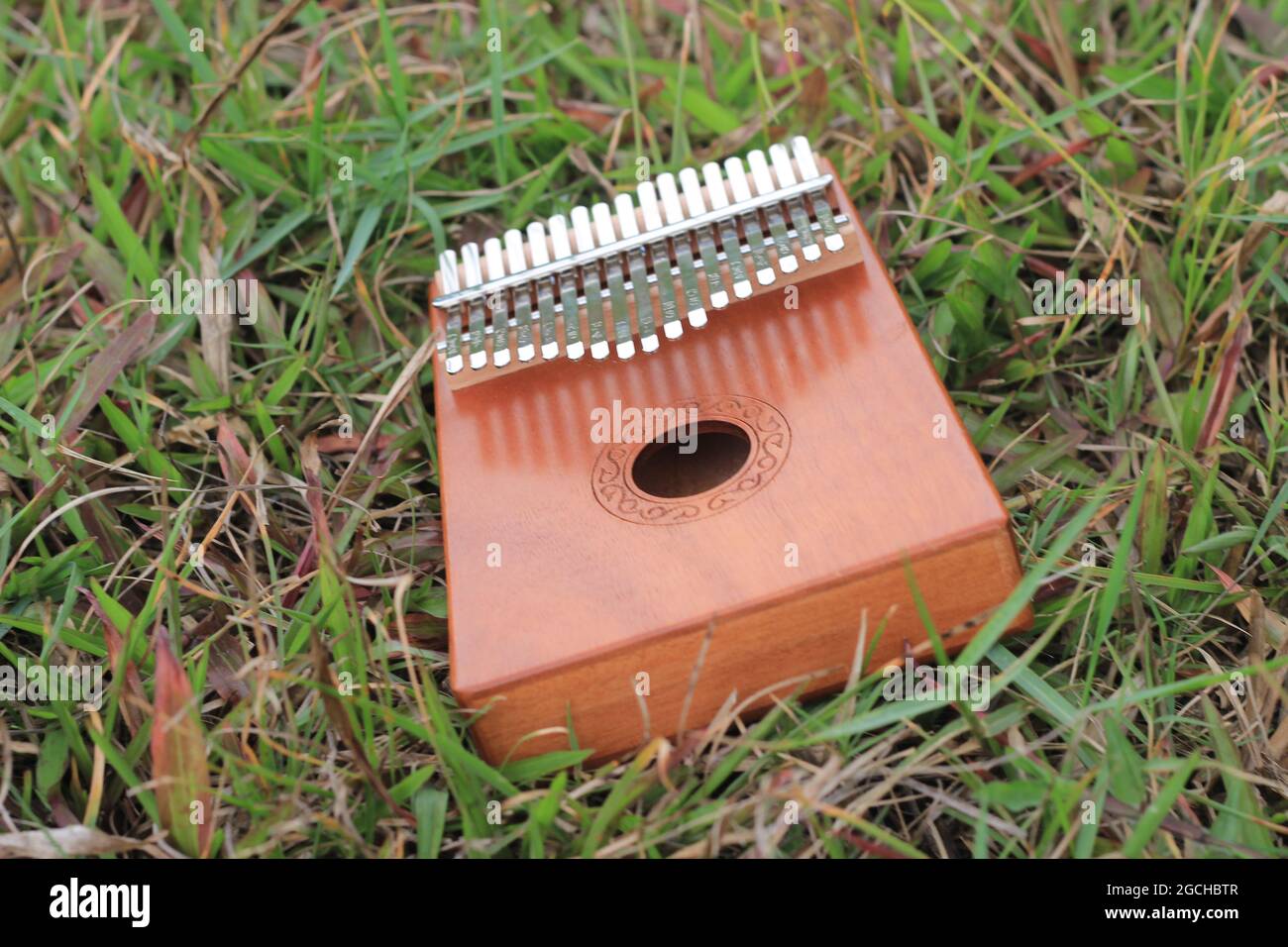 Kalimba, instrument de musique acoustique d'afrique et sa couverture souple à Grass Banque D'Images