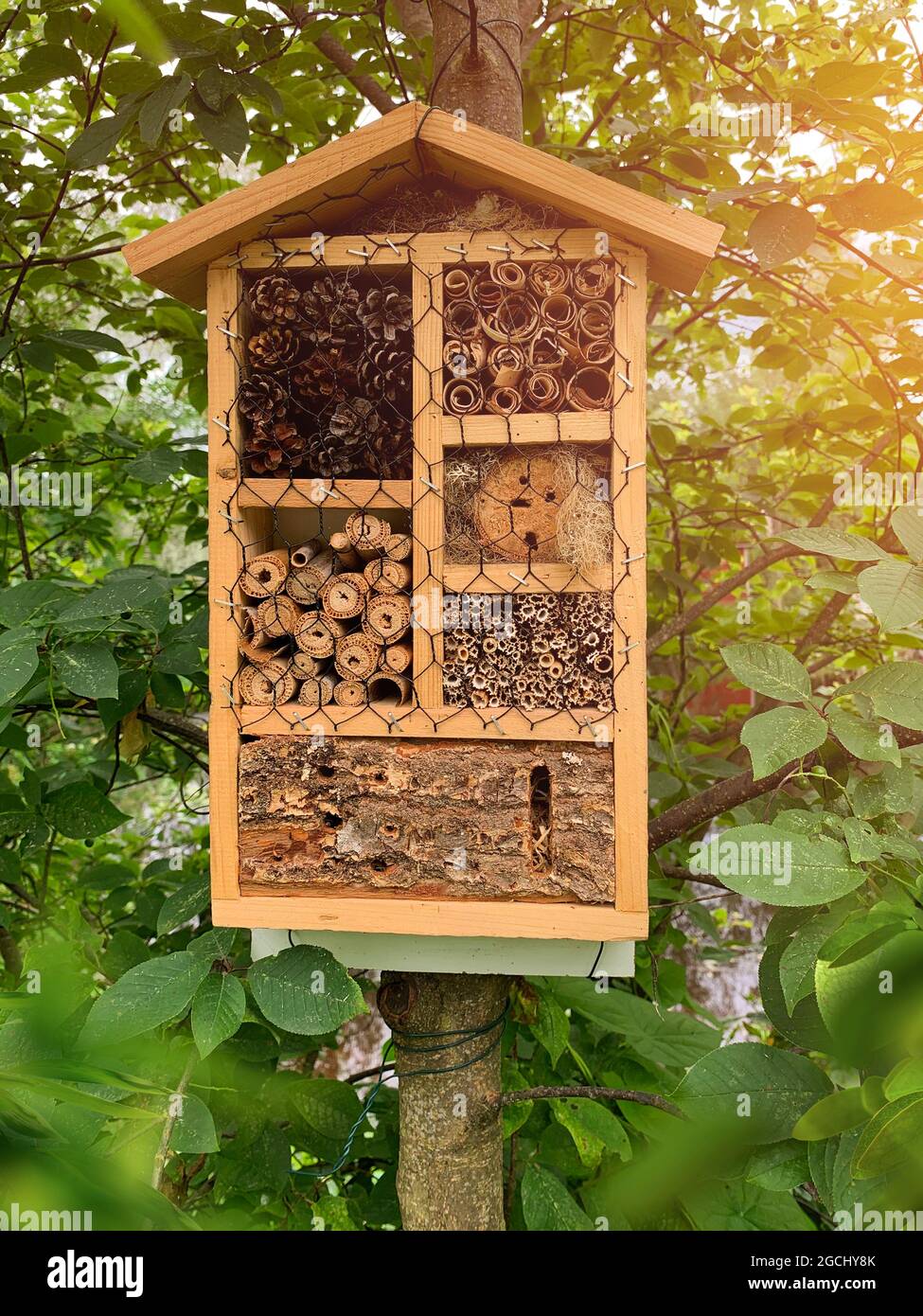 Hôtel de punaises en bois pour les insectes accrochés dans le jardin arboré Banque D'Images