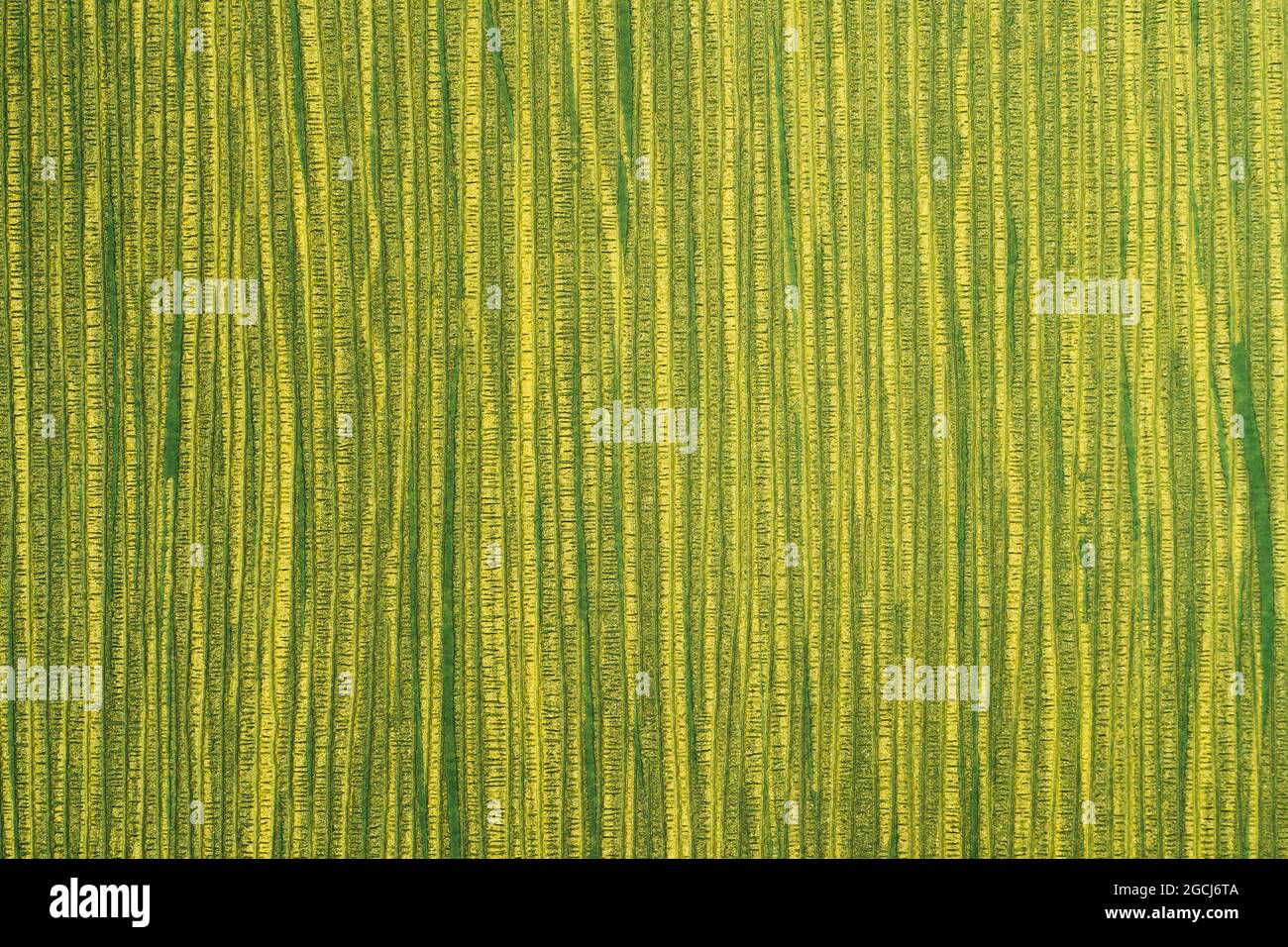 Fragment de tissu fond d'écran motif de répétition moderne avec textures Banque D'Images