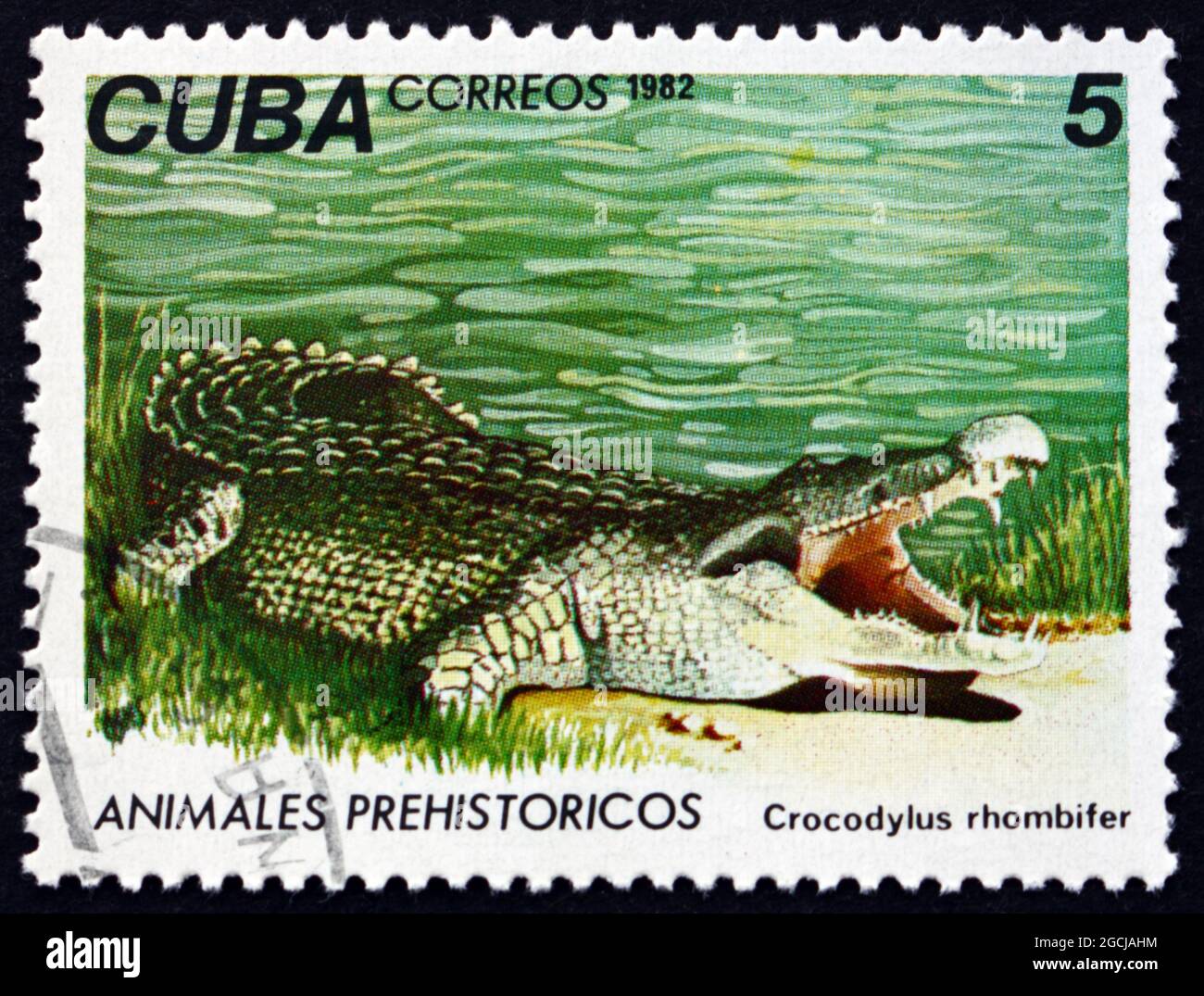 CUBA - VERS 1982: Un timbre imprimé à Cuba montre le crocodile cubain, crocodylus rhombifer, est une espèce de crocodile que l'on trouve seulement à Cuba, vers 1982 Banque D'Images