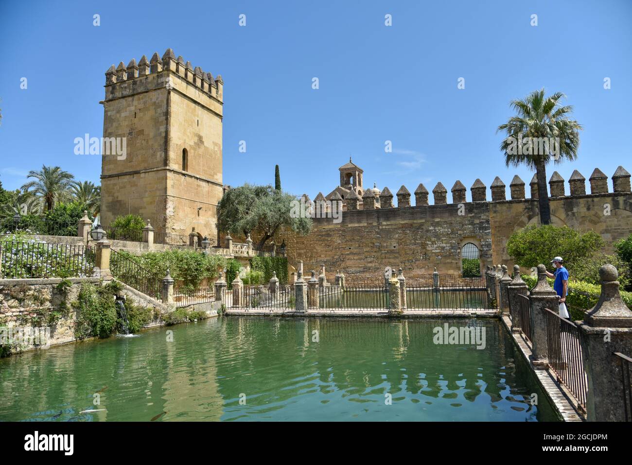 Córdoba Andalucía España jardines de el alcázar de los reyes cristianos 2021 Banque D'Images