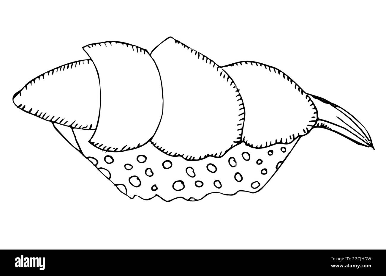 Saumon au thon avec riz, sushi en rouleau frais isolé sur illustration vectorielle blanche. Illustration de Vecteur