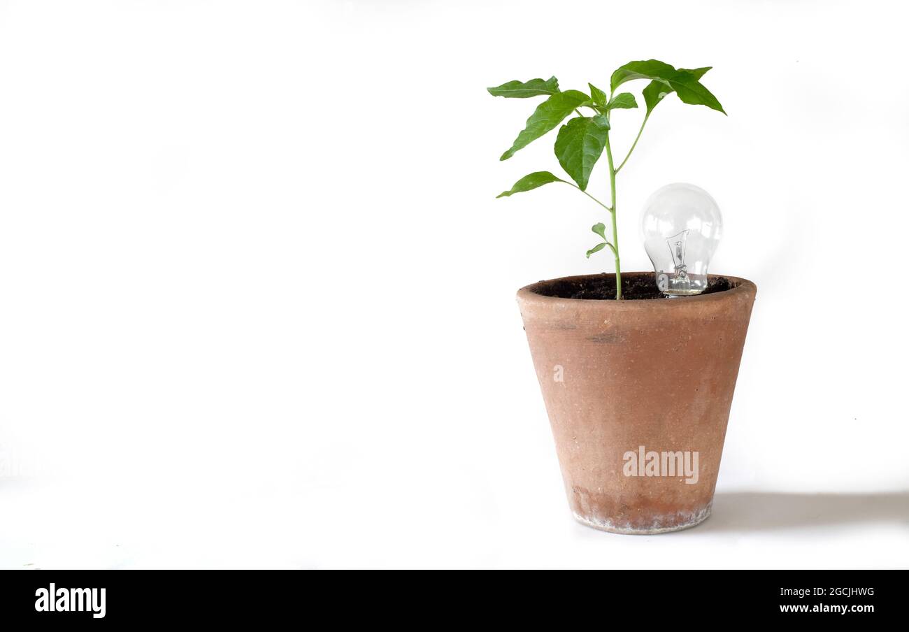 énergie verte, métaphore commerciale ou concept de protection de l'environnement, espace de copie gratuit Banque D'Images