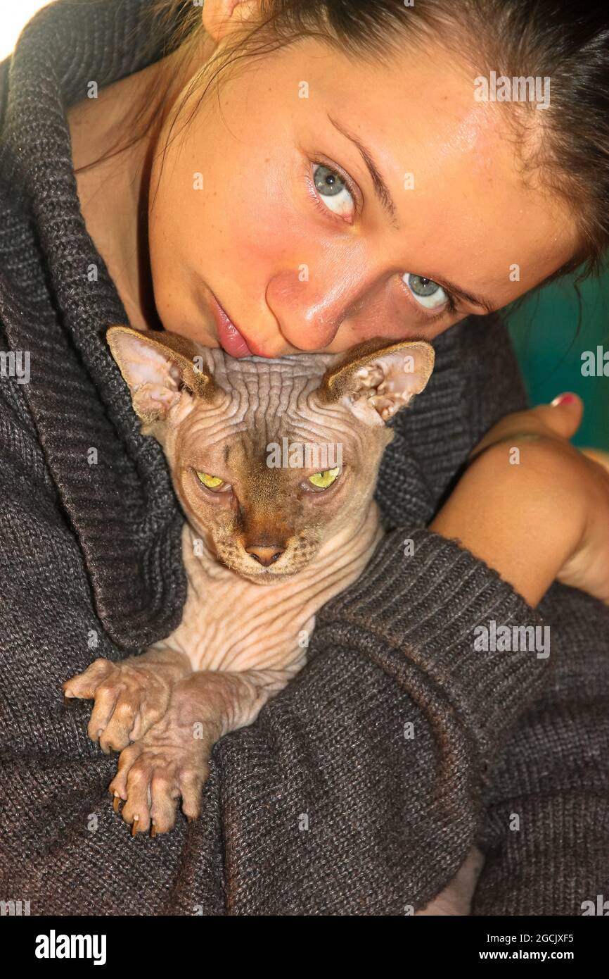 Une Belle Fille Aux Yeux Gris Et Bronzee Epouse Le Chat Sphynx Canadien Prefere A Tete Blanche Et A Yeux Verts Portrait D Un Chaton Sphinx Et D Une Maitresse Jeune Femme World Cat Une Belle Fille Aux Yeux Gris Et Bronzee Epouse Le Chat Sphynx Canadien Prefere A Tete Blanche Et A Yeux Verts Portrait D Un Chaton Sphinx Et D Une Maitresse Jeune Femme World Cat