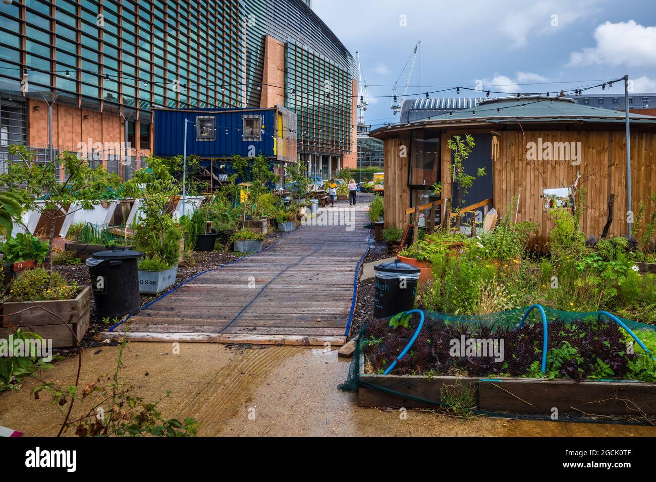 Story Garden London - jardin communautaire temporaire situé à Somers Town Kings Cross, entre la British Library et le Francis Crick Institute. Banque D'Images