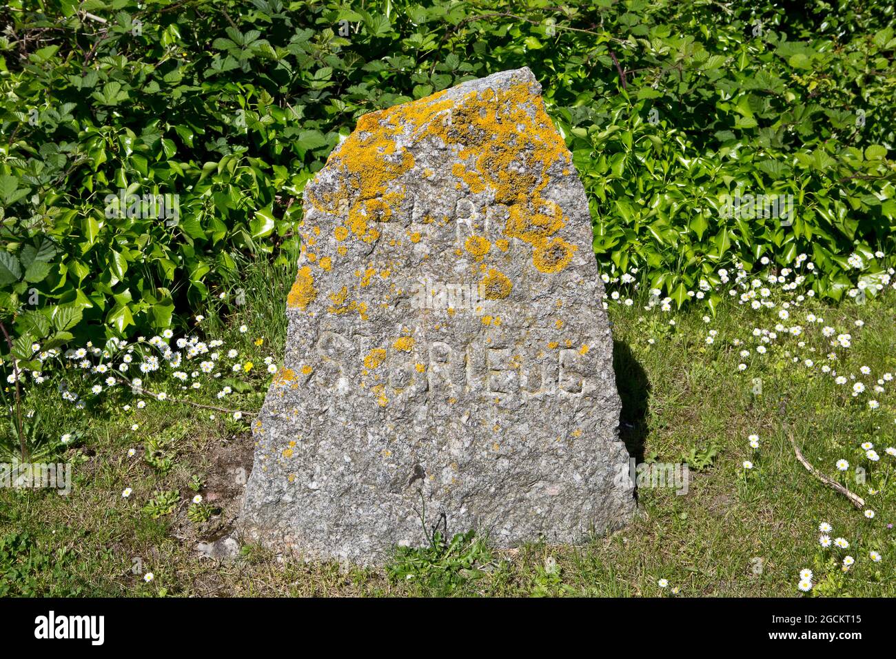 menhir commémoratif du 74e Régiment d'infanterie territoriale de Saint ...
