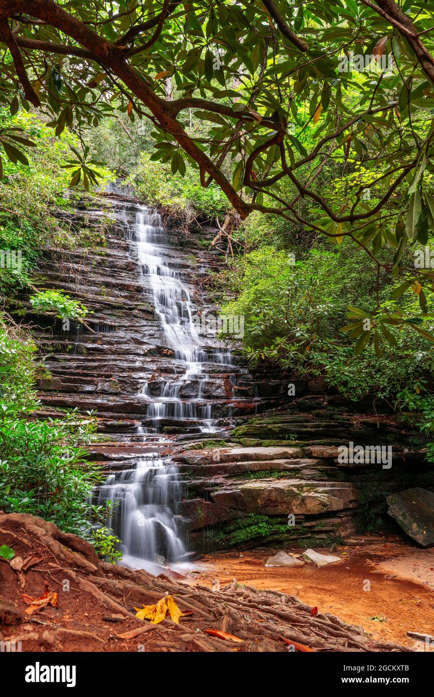 Panther Falls, comté de Rabun, Géorgie, sur la rivière Tallulah. Banque D'Images