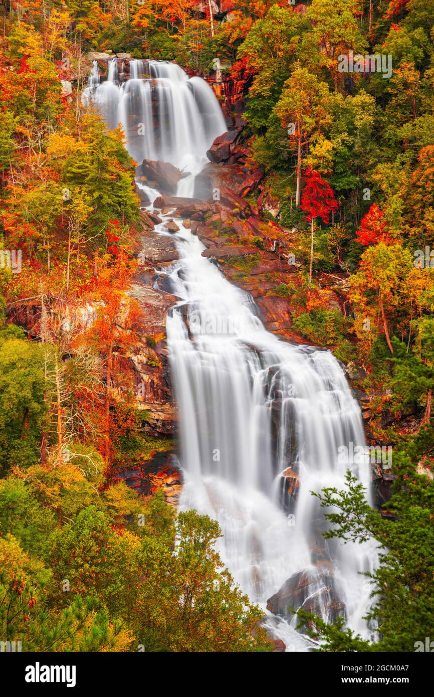 Whitewater Falls, Caroline du Nord, États-Unis en automne. Banque D'Images