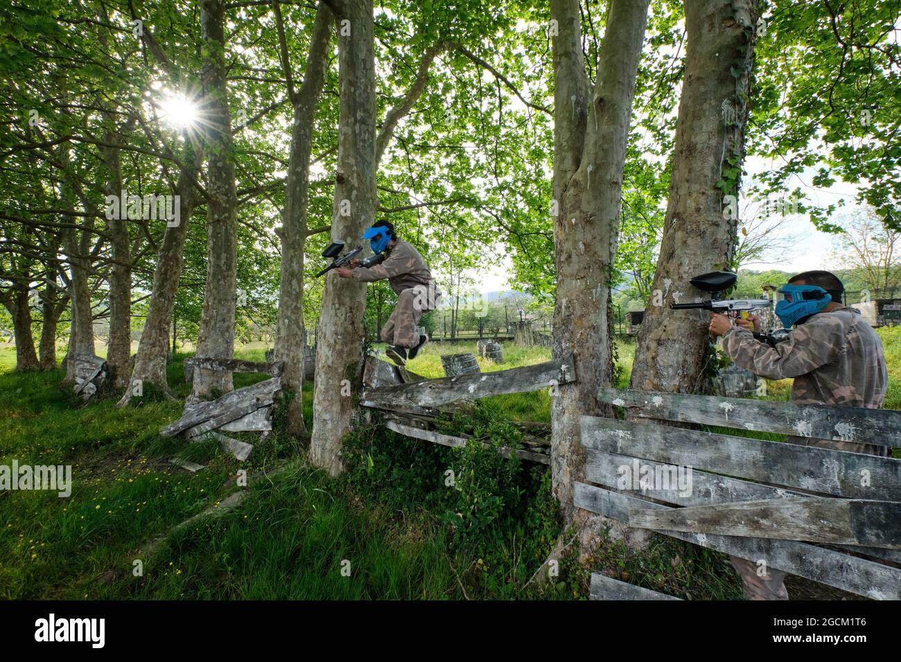 Une équipe de joueurs masculins méconnaissable avec des armes à feu et des vêtements de camouflage jouant du paintball dans les bois en été Banque D'Images