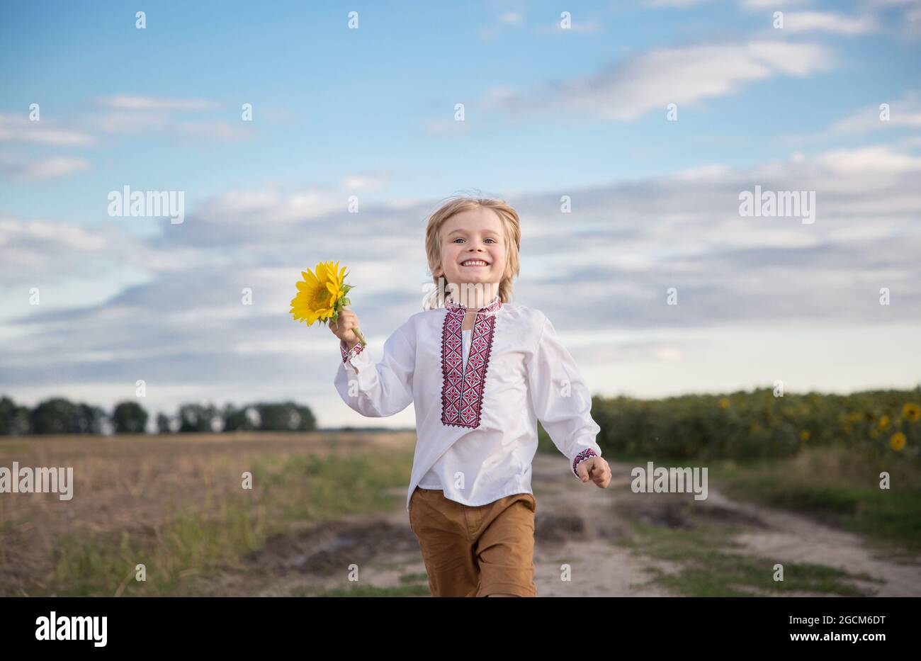 Un garçon ukrainien souriant de 4-5 ans, dans une chemise brodée avec une fleur de tournesol dans sa main, avance. Éducation patriotique. Symbole de l'Ukraine Photo Stock - Alamy