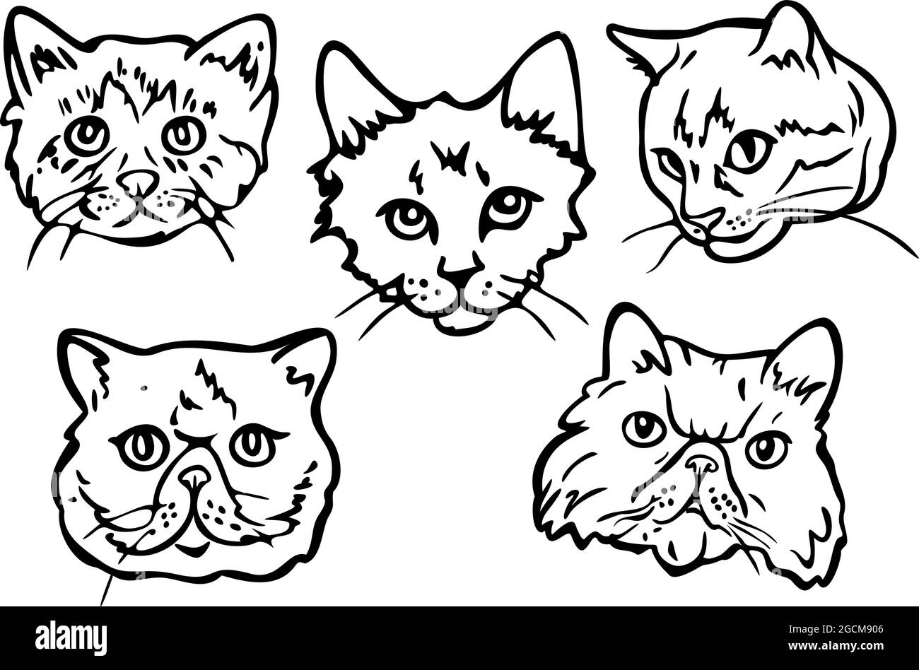 Jeu d'illustrations vectorielles avec contours de différentes faces CATS. Portraits de chats dessinés à la main. Illustration de Vecteur