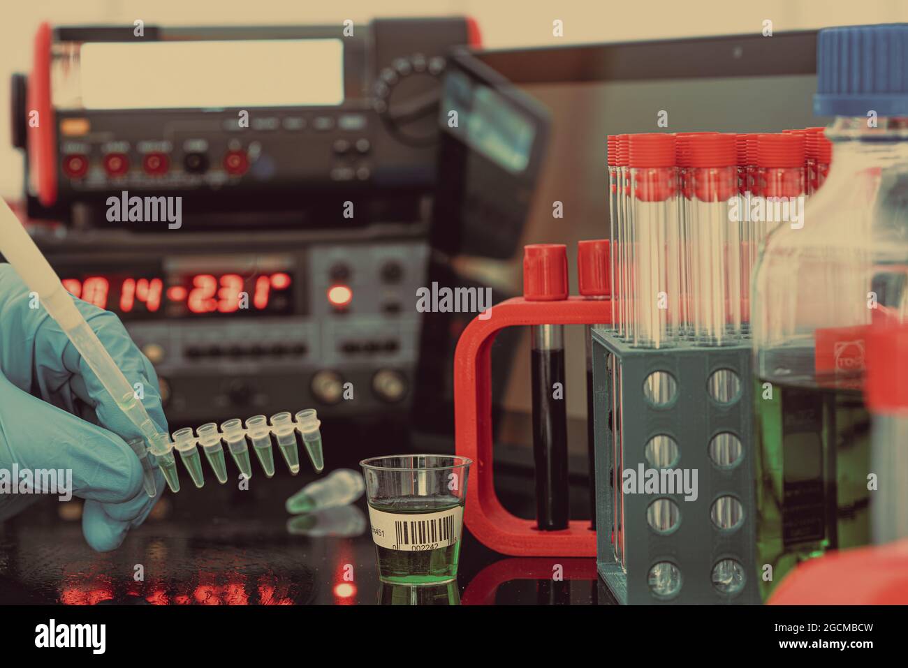 Préparation d'échantillons pour la spectrométrie de masse dans un laboratoire scientifique. Remplissage des tubes à essai avec des échantillons à l'aide d'une pipette et d'instruments de mesure sur le b Banque D'Images