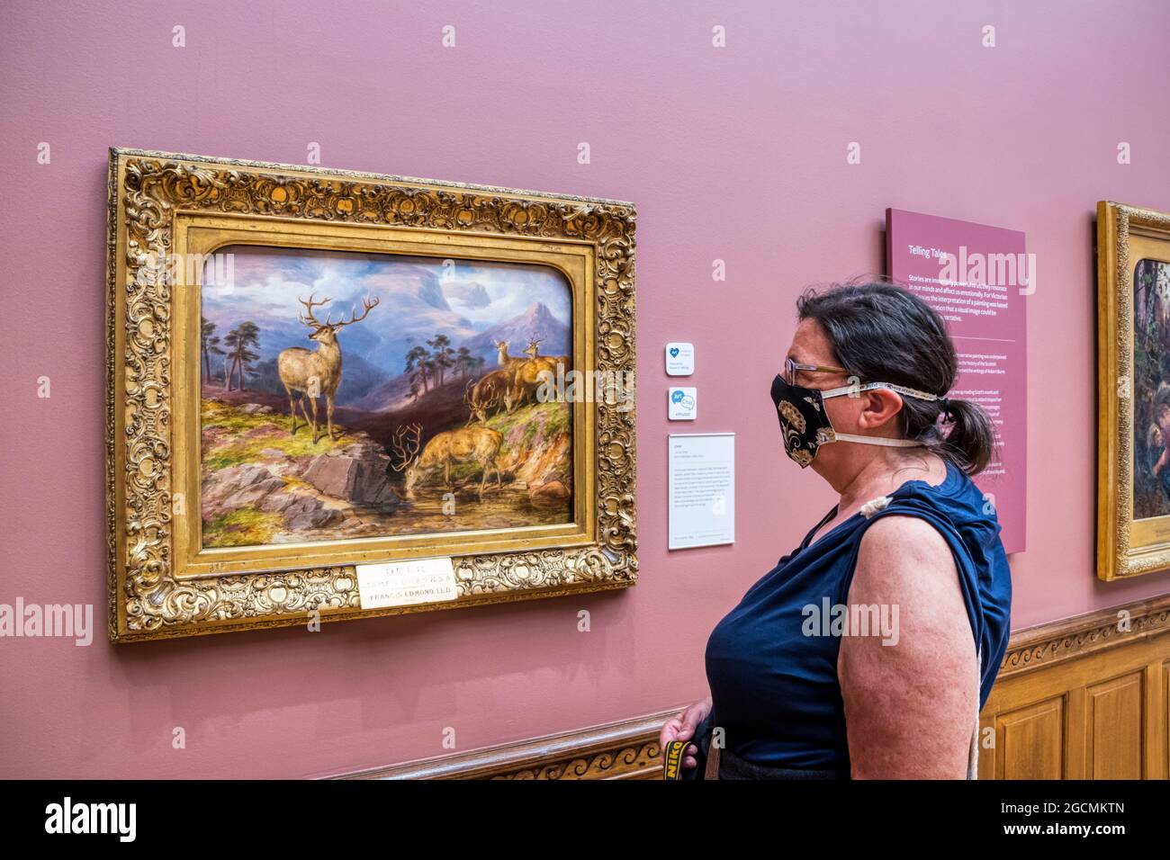 Un visiteur de la Aberdeen Art Gallery, portant un masque facial pendant la pandémie du coronavirus de 2020-2021, regarde Deer par James Giles. Banque D'Images