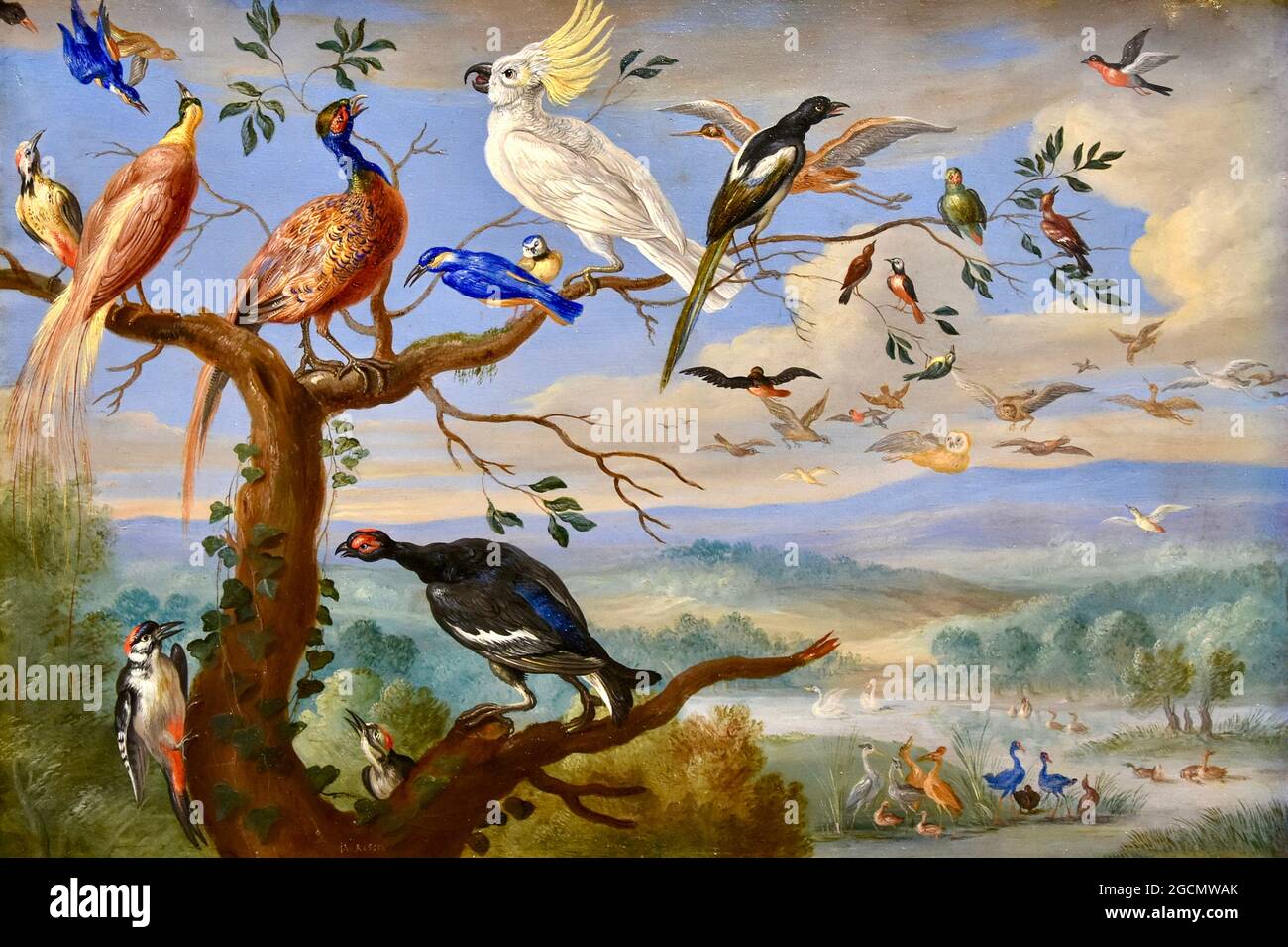 Jan Van Kessel œuvre intitulée oiseaux exotiques - Exotische Vogels Brafa Banque D'Images