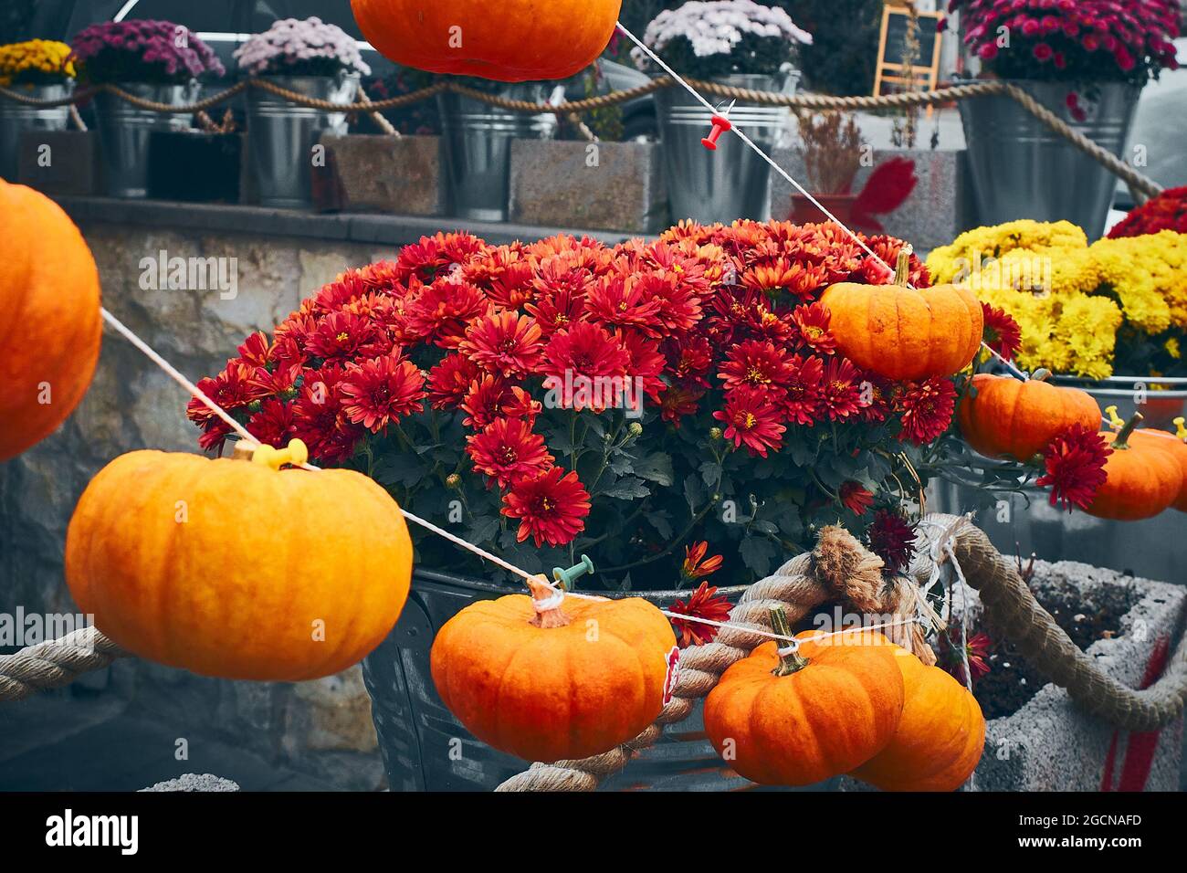 Décorations extérieures automnales faites de citrouilles et de fleurs Banque D'Images