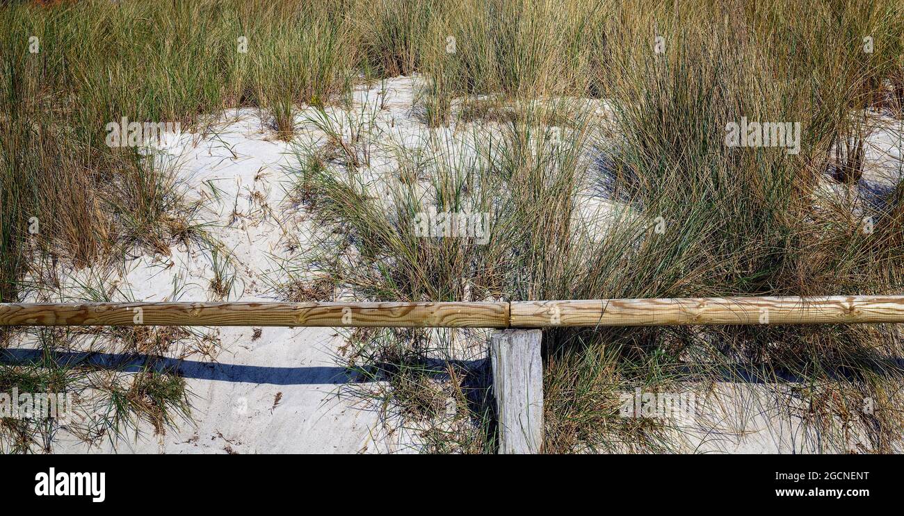 Dune de sable partiellement couverte d'herbe avec barrière de bois sur la côte de la mer Baltique près de Zingst Banque D'Images