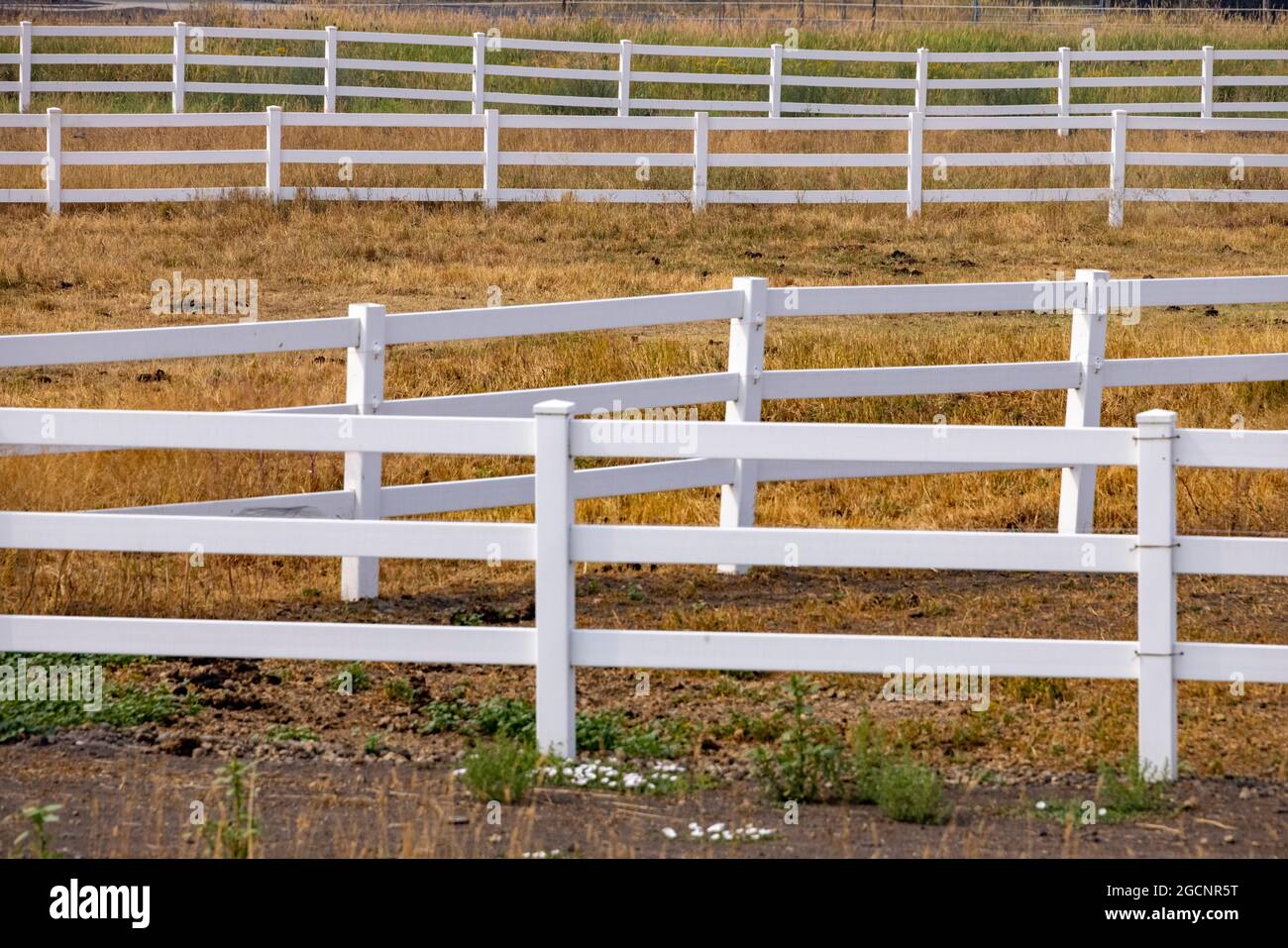 Clôtures blanches, Garfield, État de Washington, États-Unis, Banque D'Images