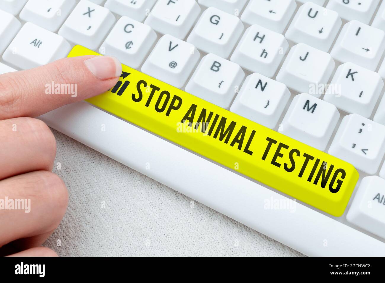 Légende de la présentation de Stop Animal Testing. L'idée d'affaires mettre fin à l'expérimentation animale ou à la recherche dactylographiée Guide de leçon de cuisine, retypage Banque D'Images