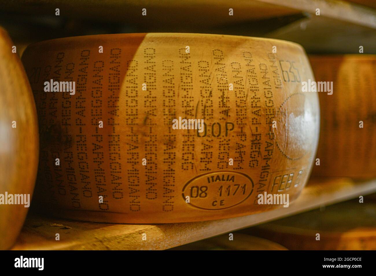 Roue de parmesan à la laiterie Banque D'Images