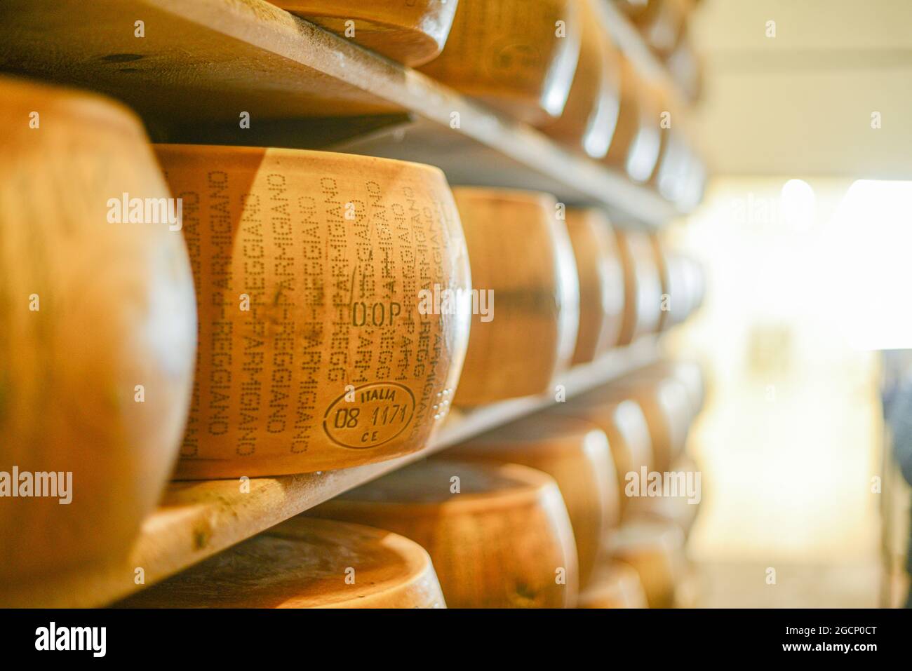 Roues de parmesan au lait Banque D'Images