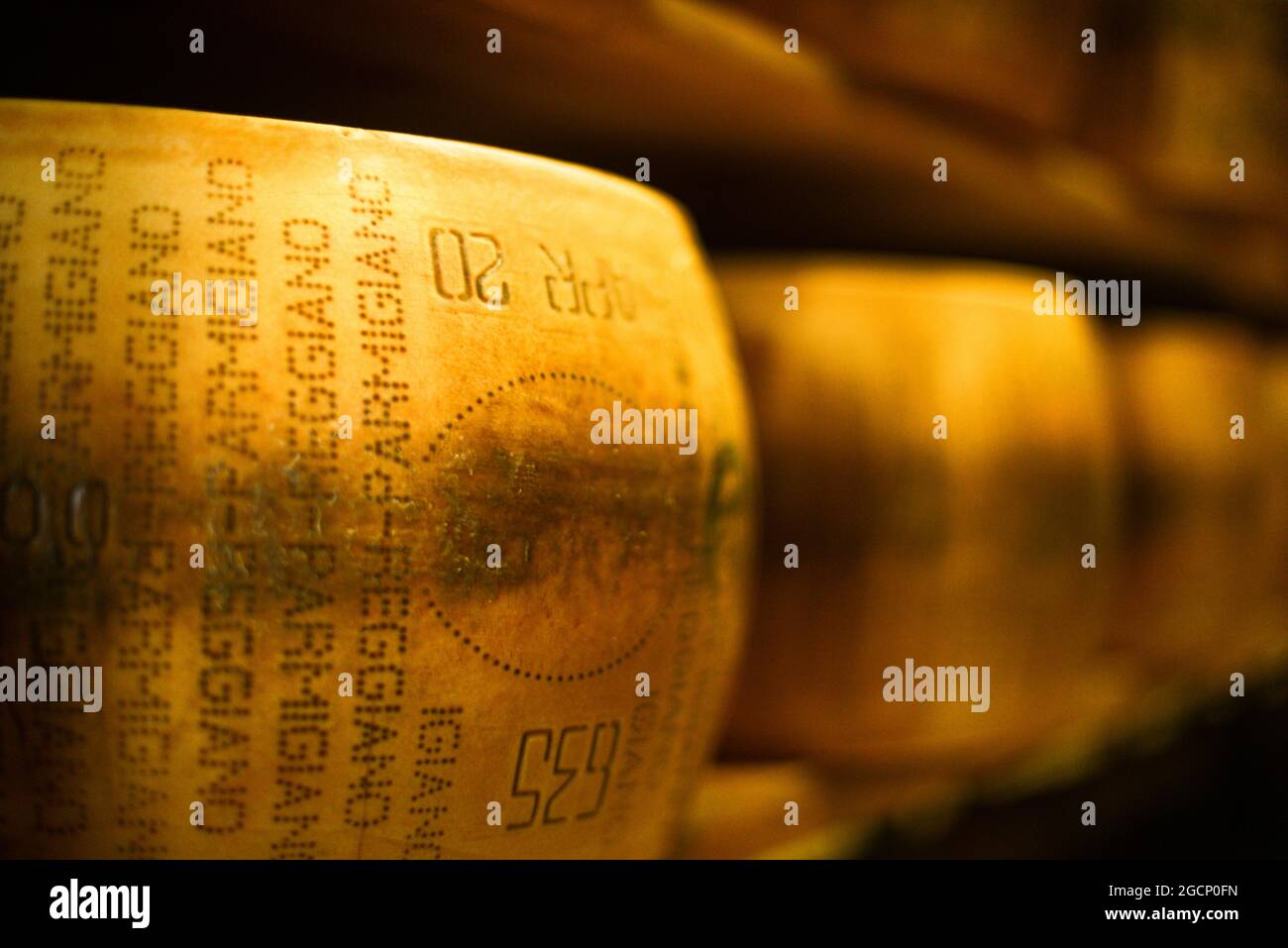 Roues de parmesan au lait Banque D'Images