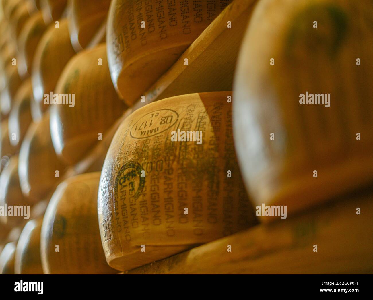 Roues de parmesan au lait Banque D'Images