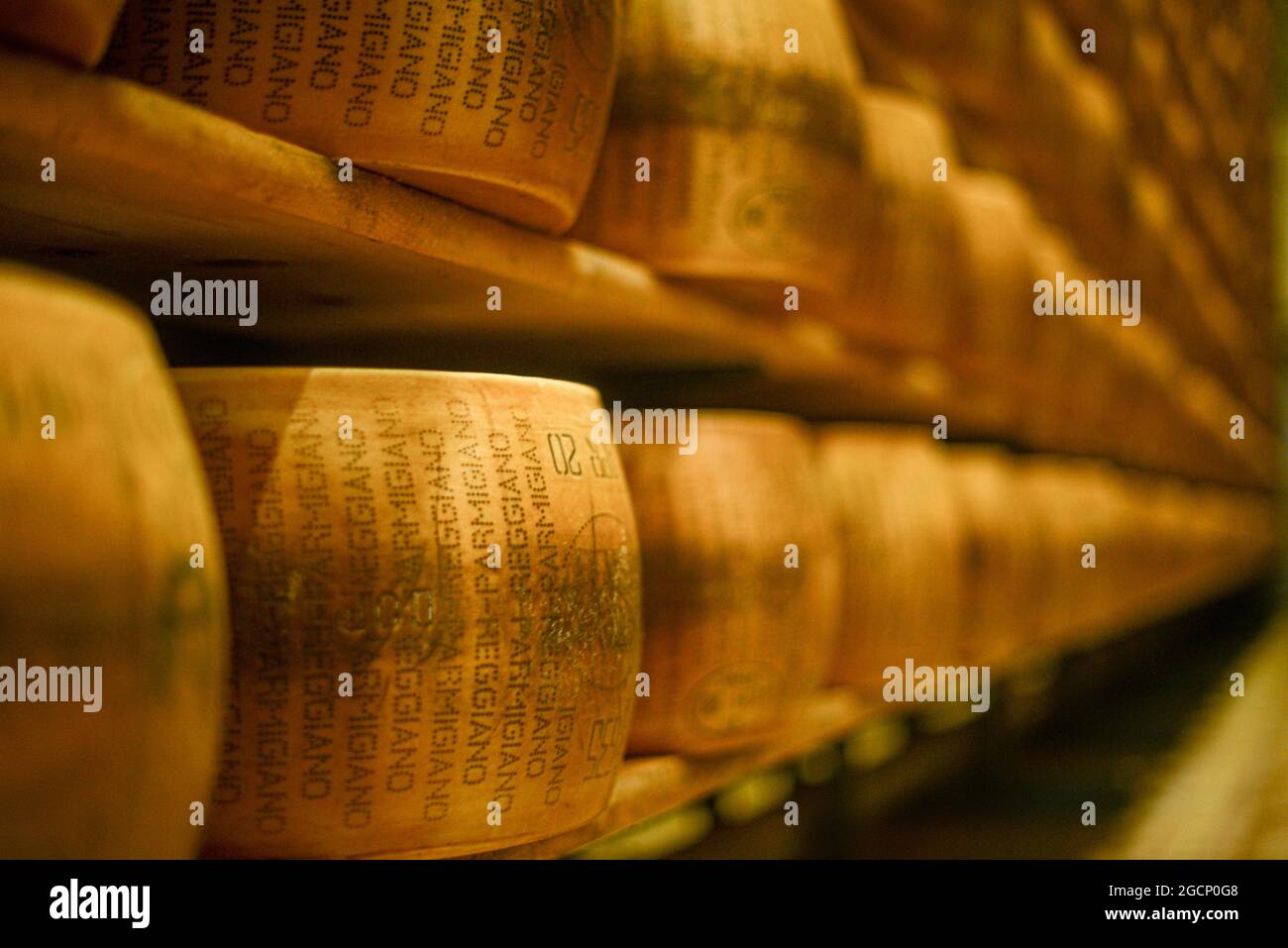 Roues de parmesan au lait Banque D'Images