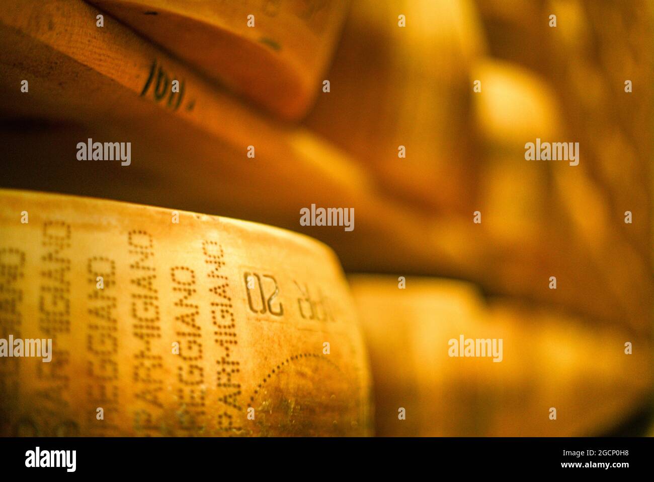 Roues de parmesan au lait Banque D'Images