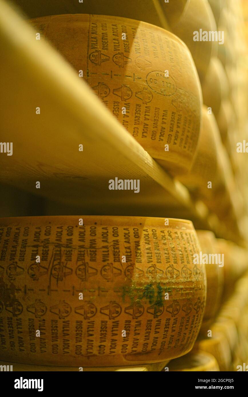 Roues de parmesan au lait Banque D'Images