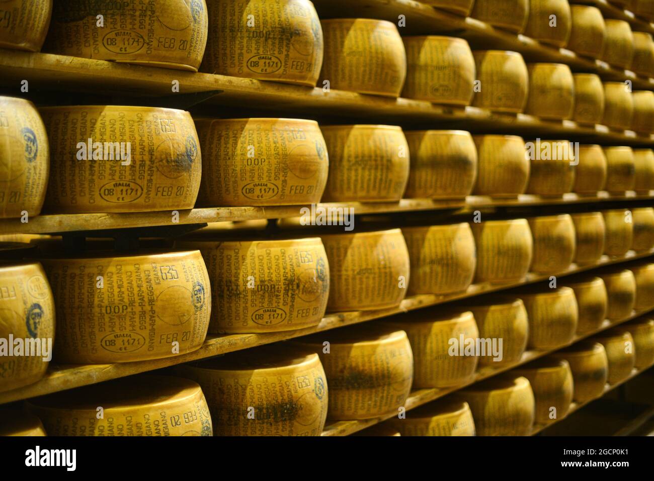Roues de parmesan au lait Banque D'Images