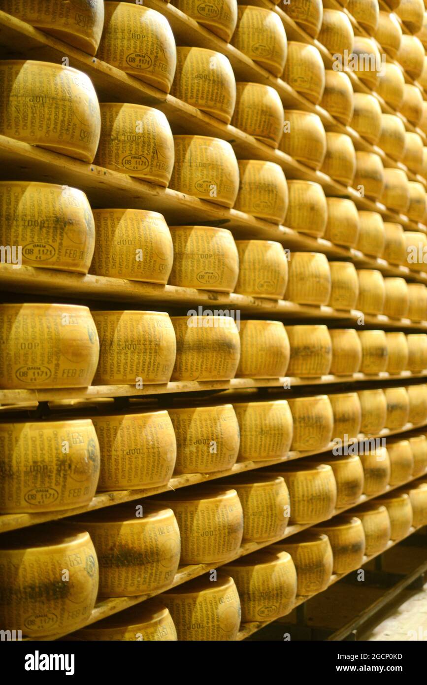 Roues de parmesan au lait Banque D'Images