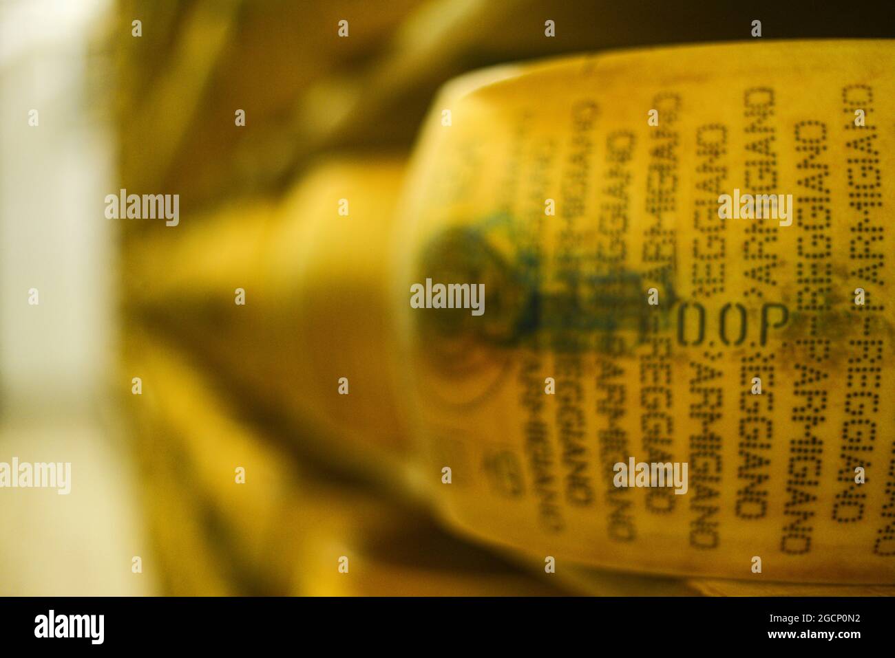 Roue de parmesan à la laiterie Banque D'Images