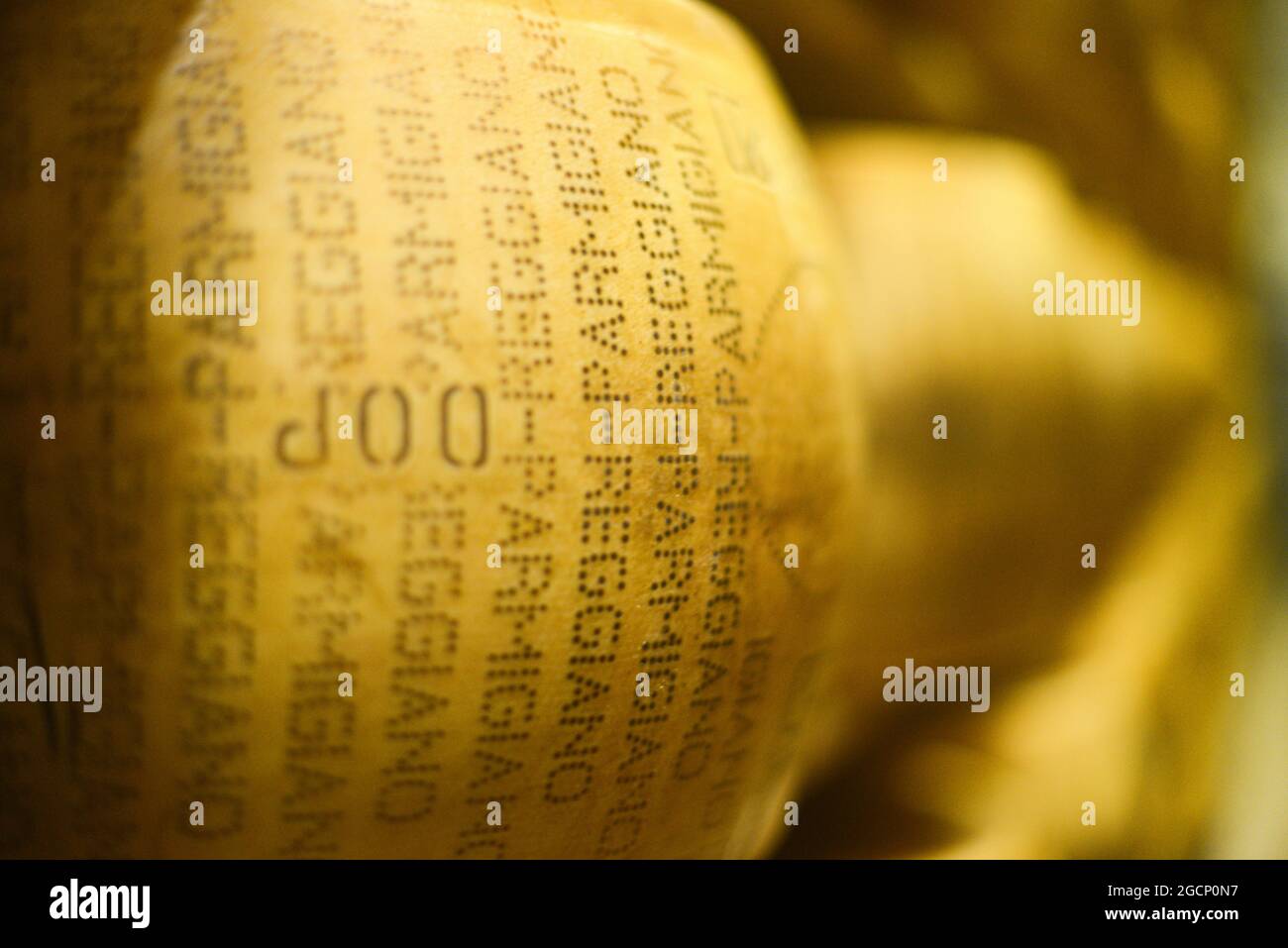 Roue de parmesan à la laiterie Banque D'Images