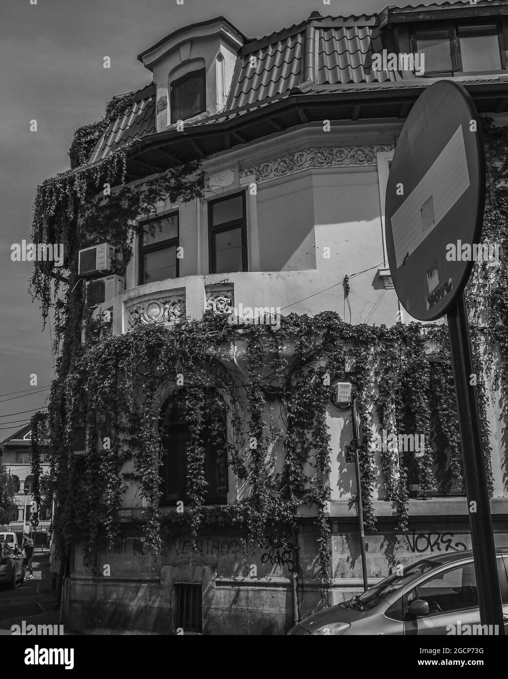 Photo en niveaux de gris d'une maison avec des vignes grimpantes à feuilles persistantes sur les murs Banque D'Images