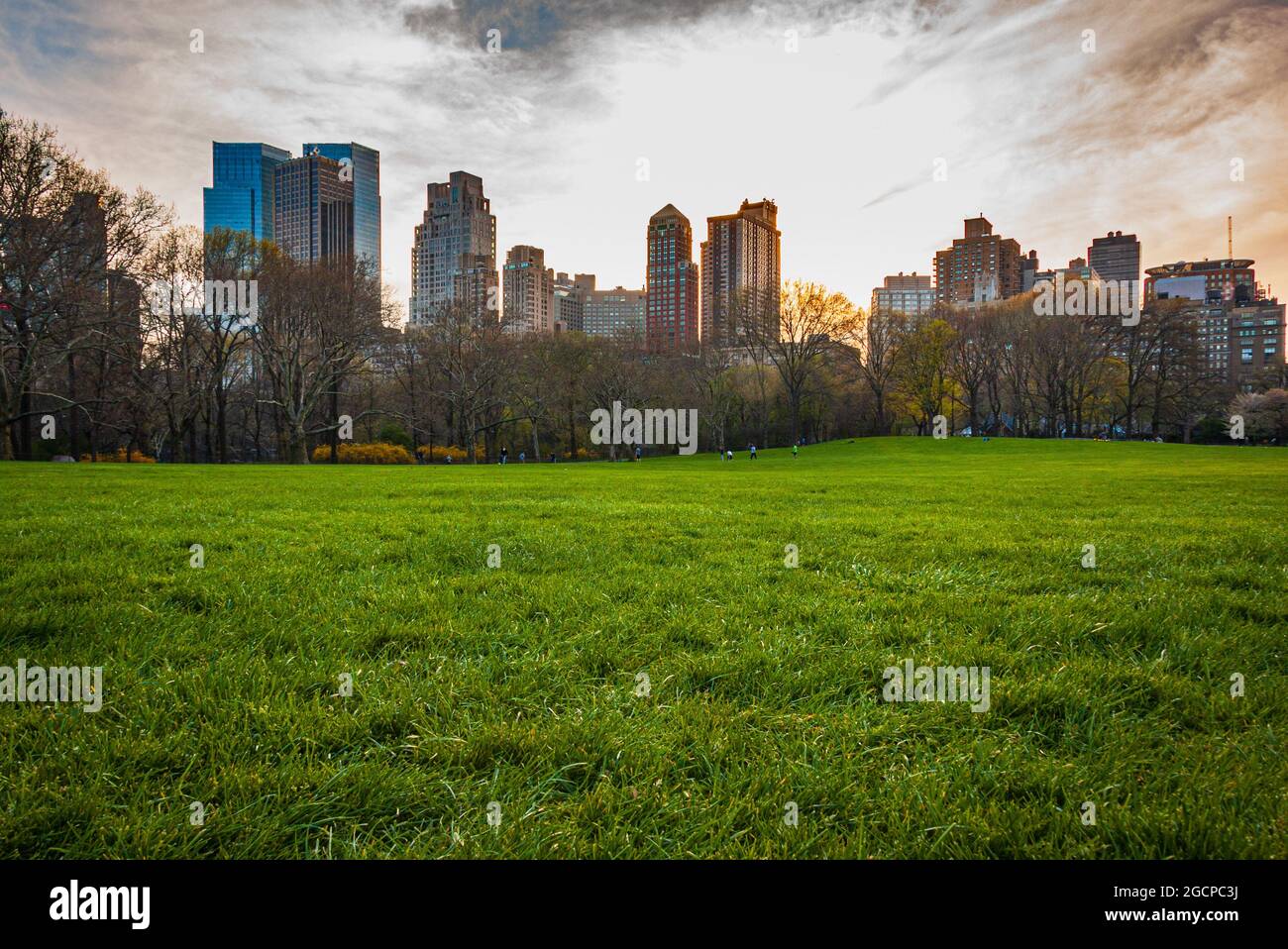 The Sheep Meadow, Central Park, New York City, NY, États-Unis. Banque D'Images