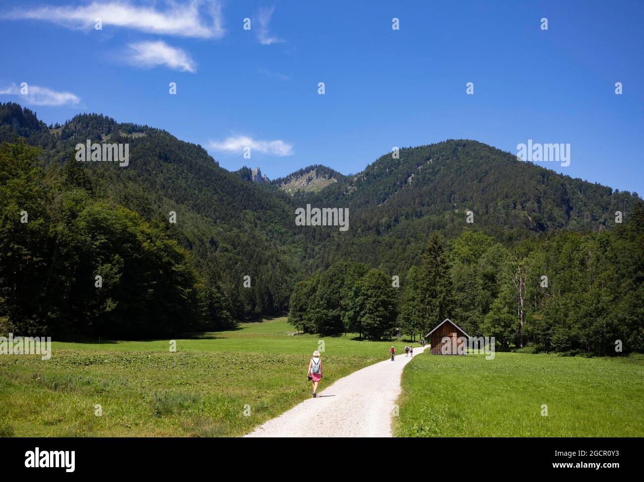 Randonnée sur le chemin de Schwarzensee à Moosalm Municipalité de St.Wolfgang, Salzkammergut, haute-Autriche, Autriche Banque D'Images