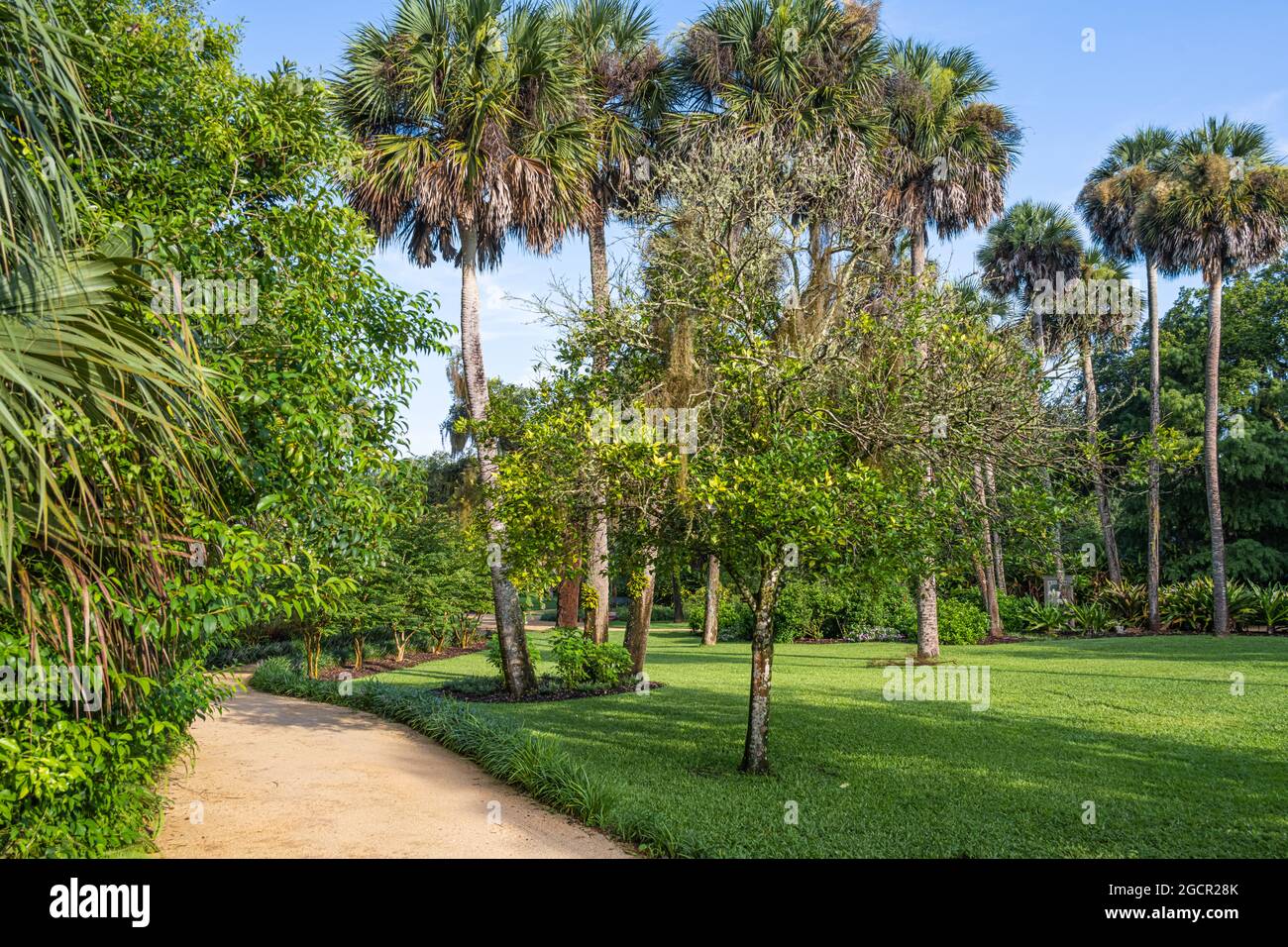 Traversez les jardins formels du parc national Washington Oaks Gardens à Palm Coast, en Floride. (ÉTATS-UNIS) Banque D'Images