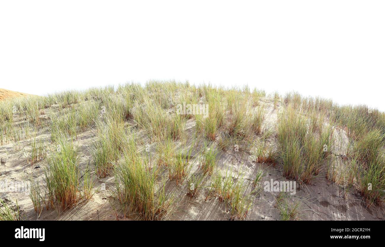 Poncez la dune avec de l'herbe sur un fond blanc. Banque D'Images