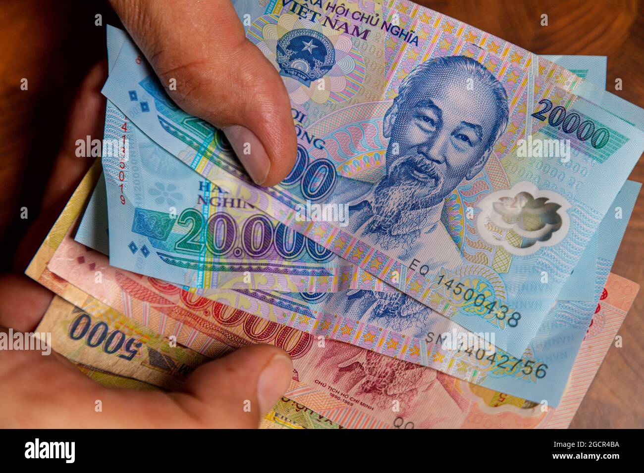 La main masculine tient un fan de Vietnames Dong billet, la monnaie du Vietnam. Gros plan Polymer Money du Vietnam. 20000 Dong ou VND dans la main mâle. En fro Banque D'Images