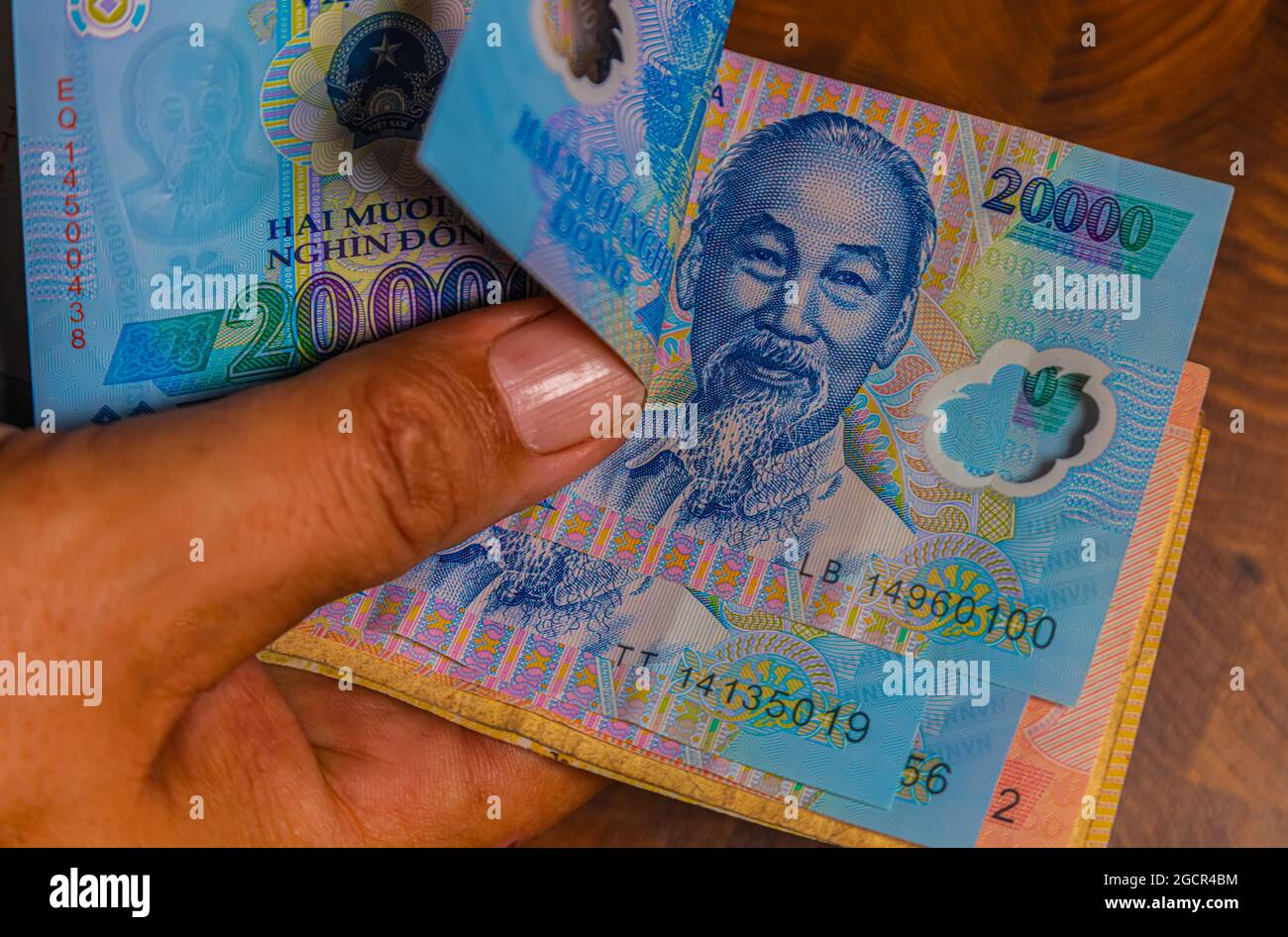 La main masculine tient un fan de Vietnames Dong billet, la monnaie du Vietnam. Gros plan Polymer Money du Vietnam. 20000 Dong ou VND dans la main mâle. En fro Banque D'Images