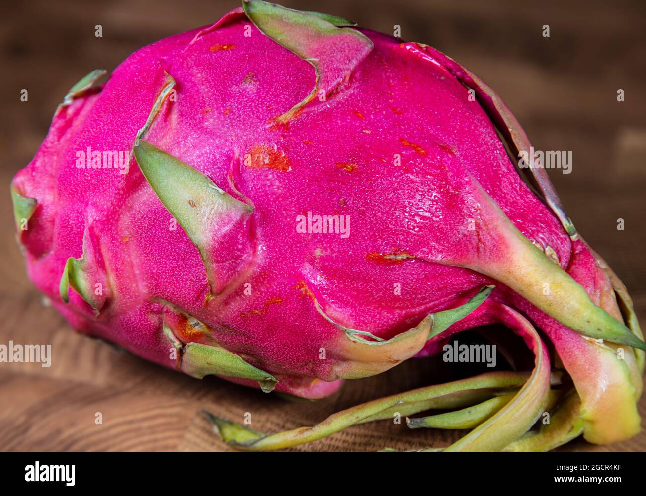 Gros plan sur un fruit dragon rose rouge sur fond de bois Macro photographie d'un Pitaya mûr. Fruit du dragon sur une table en bois. Banque D'Images