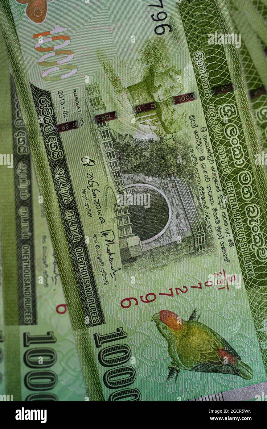 Macro-photographie de 1000 roupies sri lankaises ou Rupie. Monnaie papier de la république Sri Lanka. L'argent du pays de l'île. Gros plan sur la SR colorée Banque D'Images