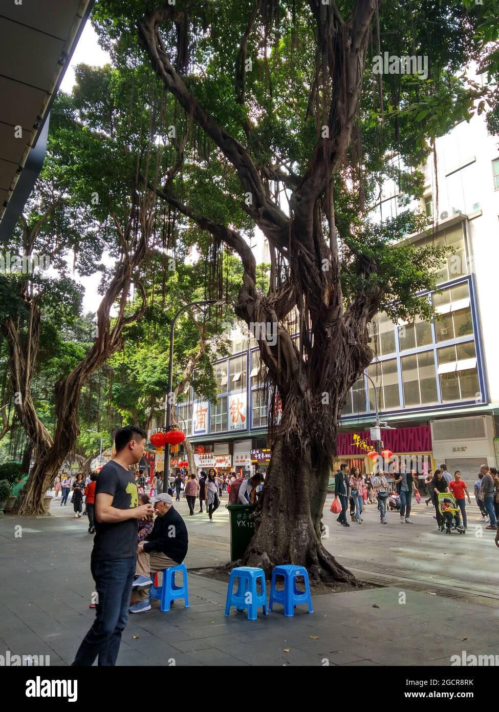 Un Chinois qui attend devant le restaurant vietnamien Tiger Prawn sur la route de Beijing à Guangzhou avec un arbre ancien et des tonnes de touristes Banque D'Images
