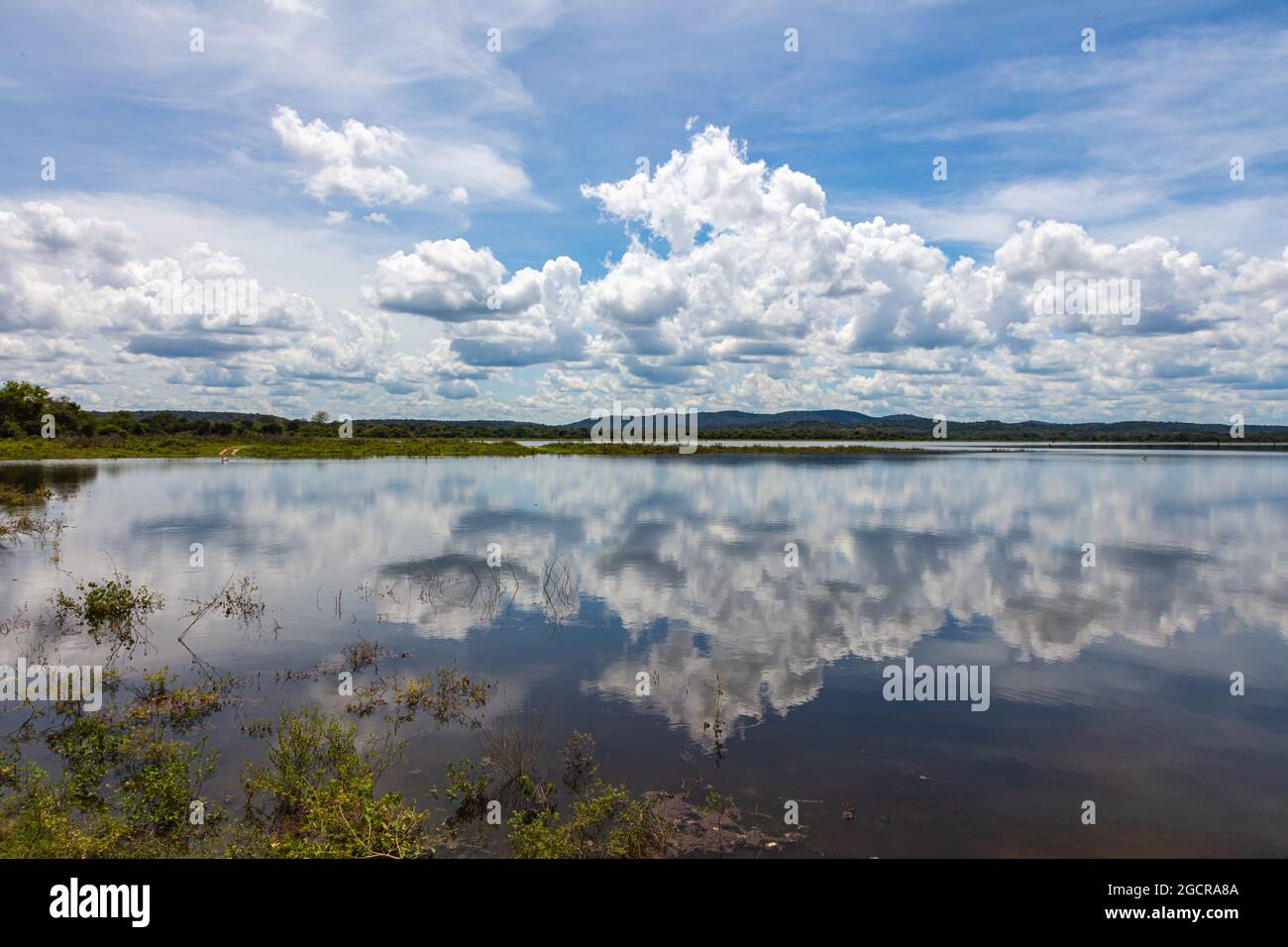 Effet miroir d'eau sur le lac Méneriya Wewa au parc national de Méneriya ,  Sri Lanka. Photographie de paysage de Cloudscape panoramique avec réflexion  o Photo Stock - Alamy